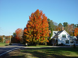 Alewive, Kennebunk