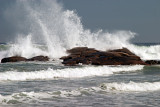 Fortune's Rocks