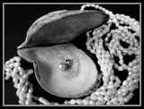 Pearls