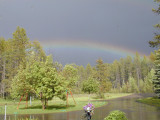 rainbow Image004.jpg