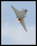 Typhoon-9.jpg