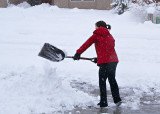 Nancy Shovelling