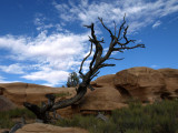 P9012267ps.jpg