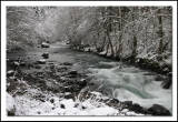 Wilson River above steelhead hole