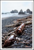 Snow on beach wood