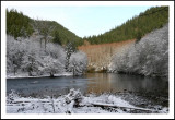 Frost and color on the Wilson River