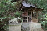 cow guarding a shrine in the woods