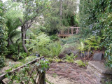 Tree fernery with deck (Dec 06)