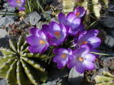 3 March