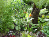 DSC03267.JPG