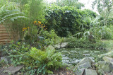 Pond 2007