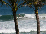Surfing in Kuta