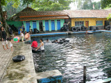 Kolam renang ikan