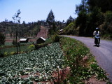 Ranupane vegetable