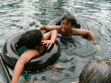 berenang bersama ikan