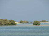 Aldhakira Natural Reserve
