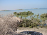 Aldhakira Natural Reserve