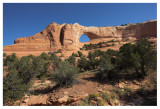 Wilson Arch Backside #1a