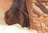 digging nest.jpg