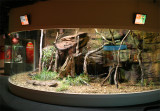tristis enclosure lo res.jpg