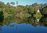The Lake
