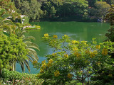The Lake