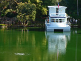 Another Houseboat View