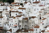 Casares (Mlaga-Spain)