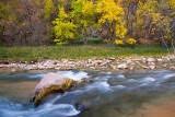 ZionNP-061110-15.jpg