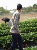 and shotaro