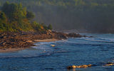 Black Brook Shorline