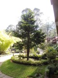 DSCN2907.JPG
