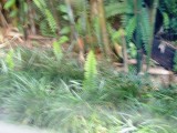 DSCN2913.JPG