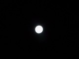 Lua Cheia - 02