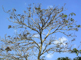 DSC03388.JPG