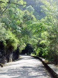 DSC03402.JPG