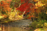 Fall Stream