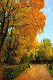 Peterhof Fall Colors (6466)