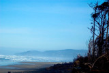 Along The Beach