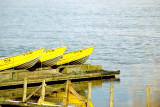 Three Yellow Boats