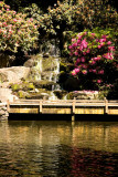 Along The Foot Bridge