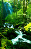 University Falls