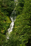 Munson Creek Fall