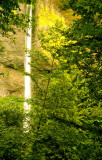 Latourell Falls