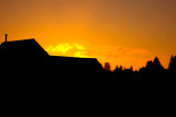 Evening Silhouette
