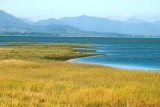 Looking Across Lower Tillamook Bay