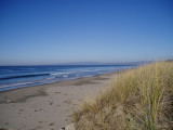 Sunny and 70