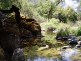 P1010075.JPG