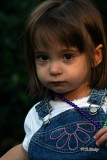 s800IMG_5925.jpg
