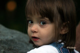 s800IMG_5938.jpg